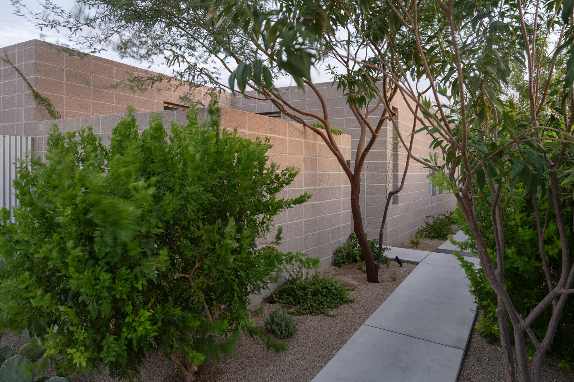 棕榈隐居处丨美国丨Benjamin Hall Design-45