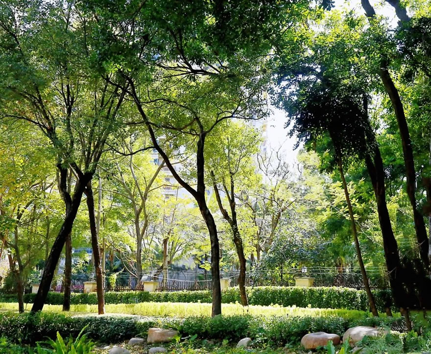 深圳福田侨香路景观提升丨中国深圳丨深圳文科园林股份有限公司-60