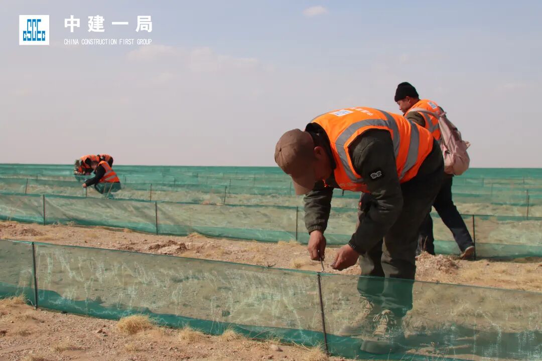 筑牢北方生态安全屏障！中建一局阴山一线生态治理项目工程固沙完工-67