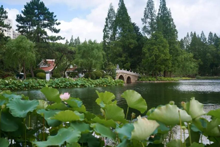 中国园林·理事专栏|“拓”之力量:杨浦公园改造纪实(三)-120