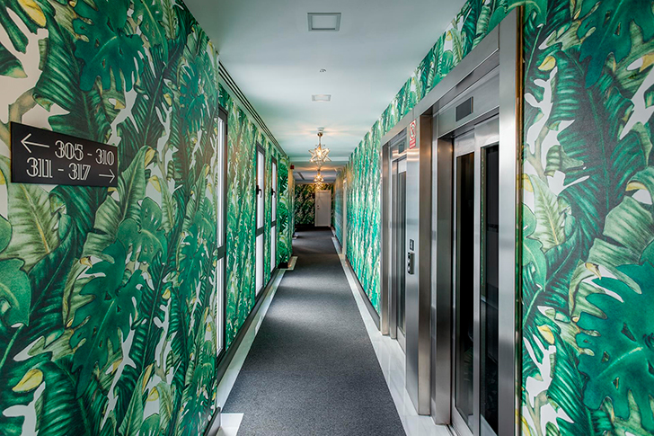 西班牙马德里 Room Mate Valeria 酒店——热带风情的设计盛宴-5