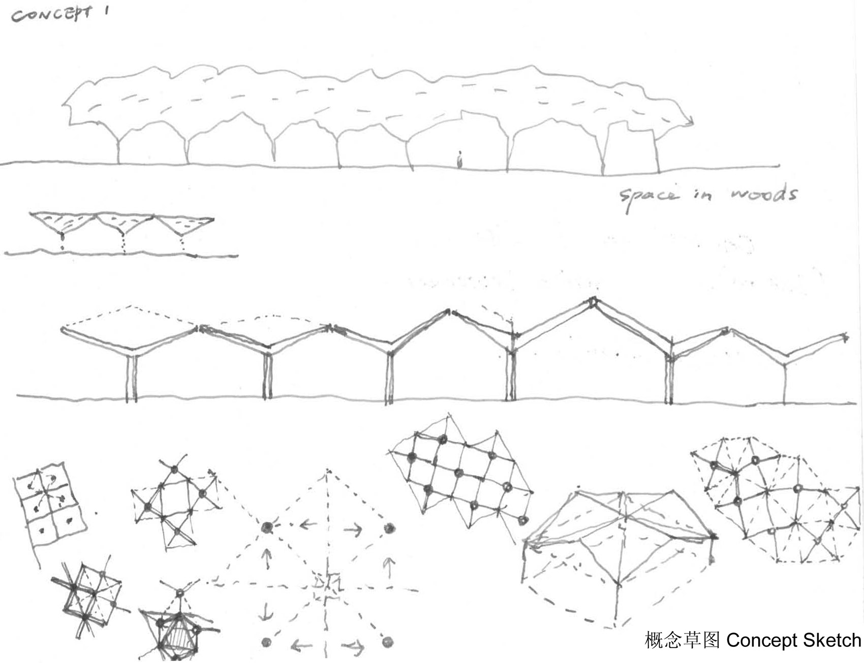 林建筑-与自然树木的共舞 / 迹·建筑事务所(华黎)-41