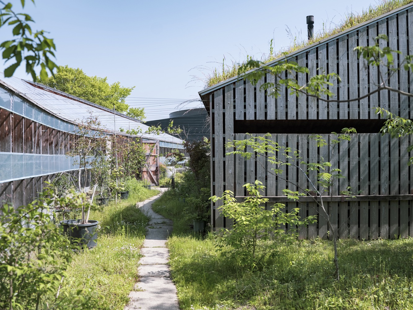 日本糖果农场之谷屋农业文化丨日本滋贺丨秋村飞行 C,京都大学全球环境建筑-20