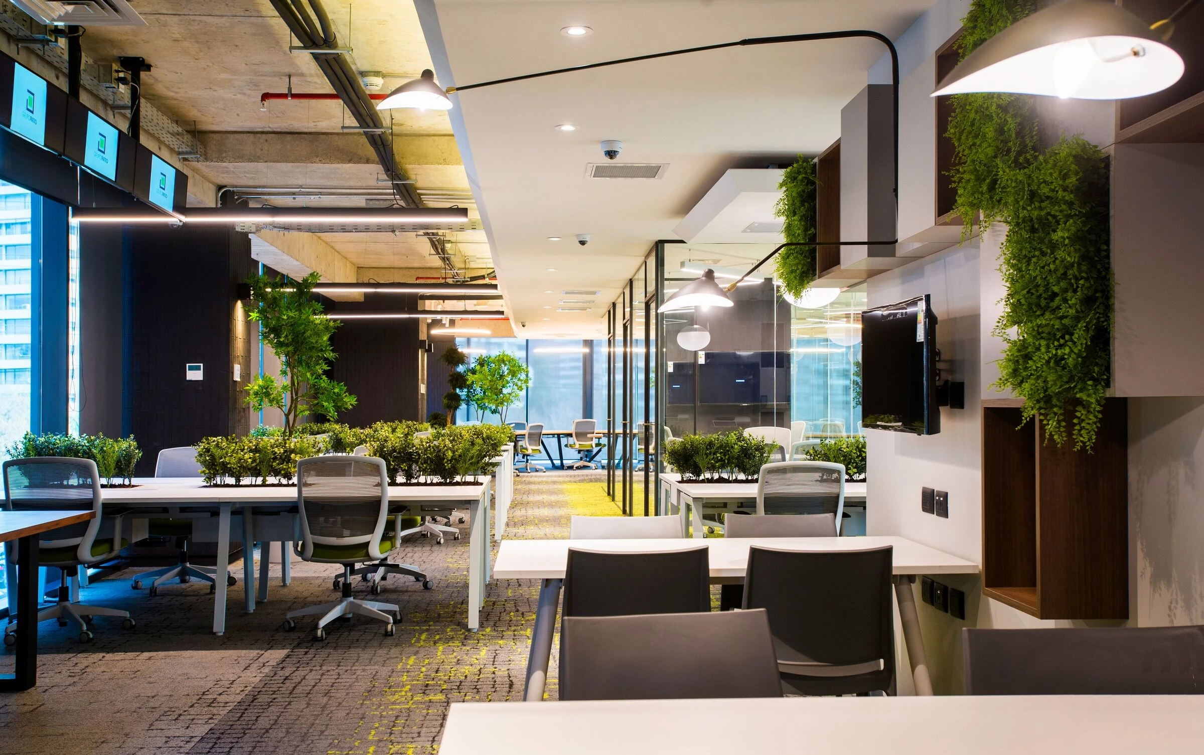 智利圣地亚哥 Grupo Patio 办公室·人性化,灵活,创新设计-11