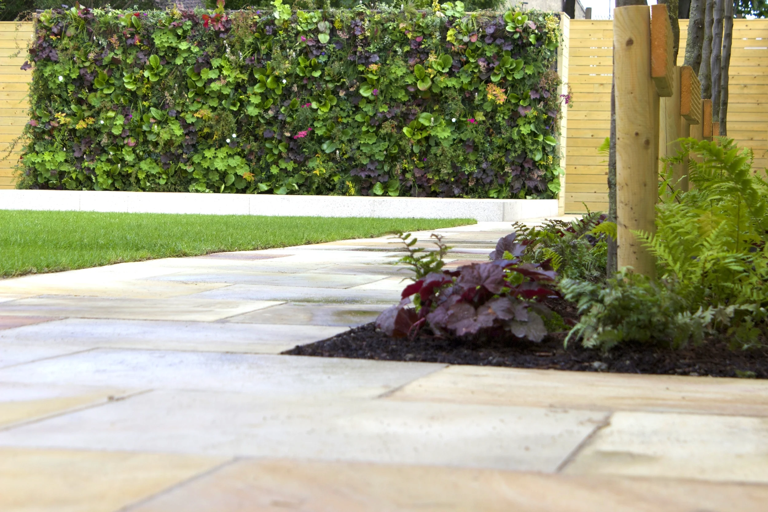 垂直绿墙花园丨爱尔兰都柏林-4