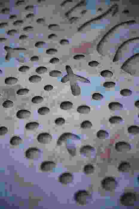 科廷大学设计与建筑环境学院项目丨澳大利亚珀斯丨Realm Studios,Wardle等-15