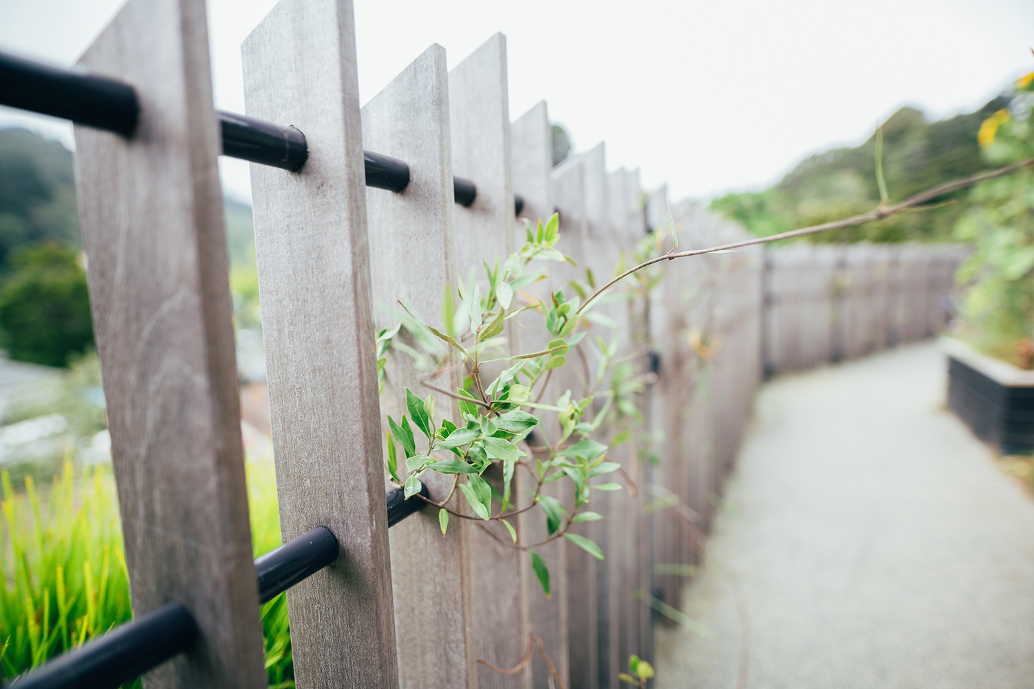 惠灵顿植物园的探索花园——儿童与自然的亲密接触-19
