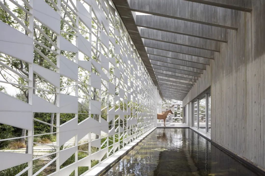 以色列 MA 独栋住宅丨Pitsou Kedem 建筑事务所-0