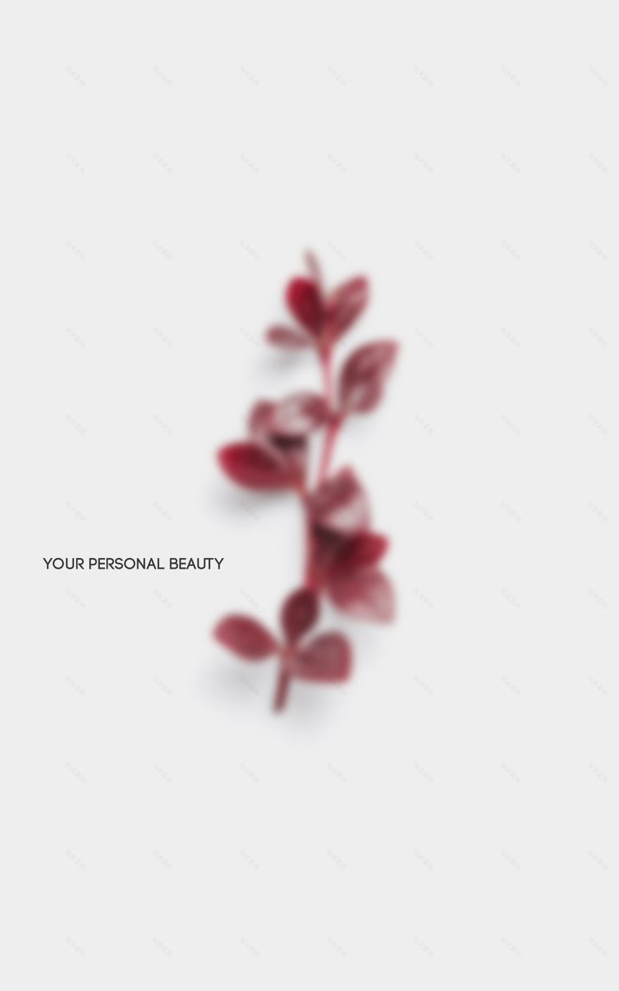 DORA 美学诊所丨沙特阿拉伯利雅得丨STUDIO25-9