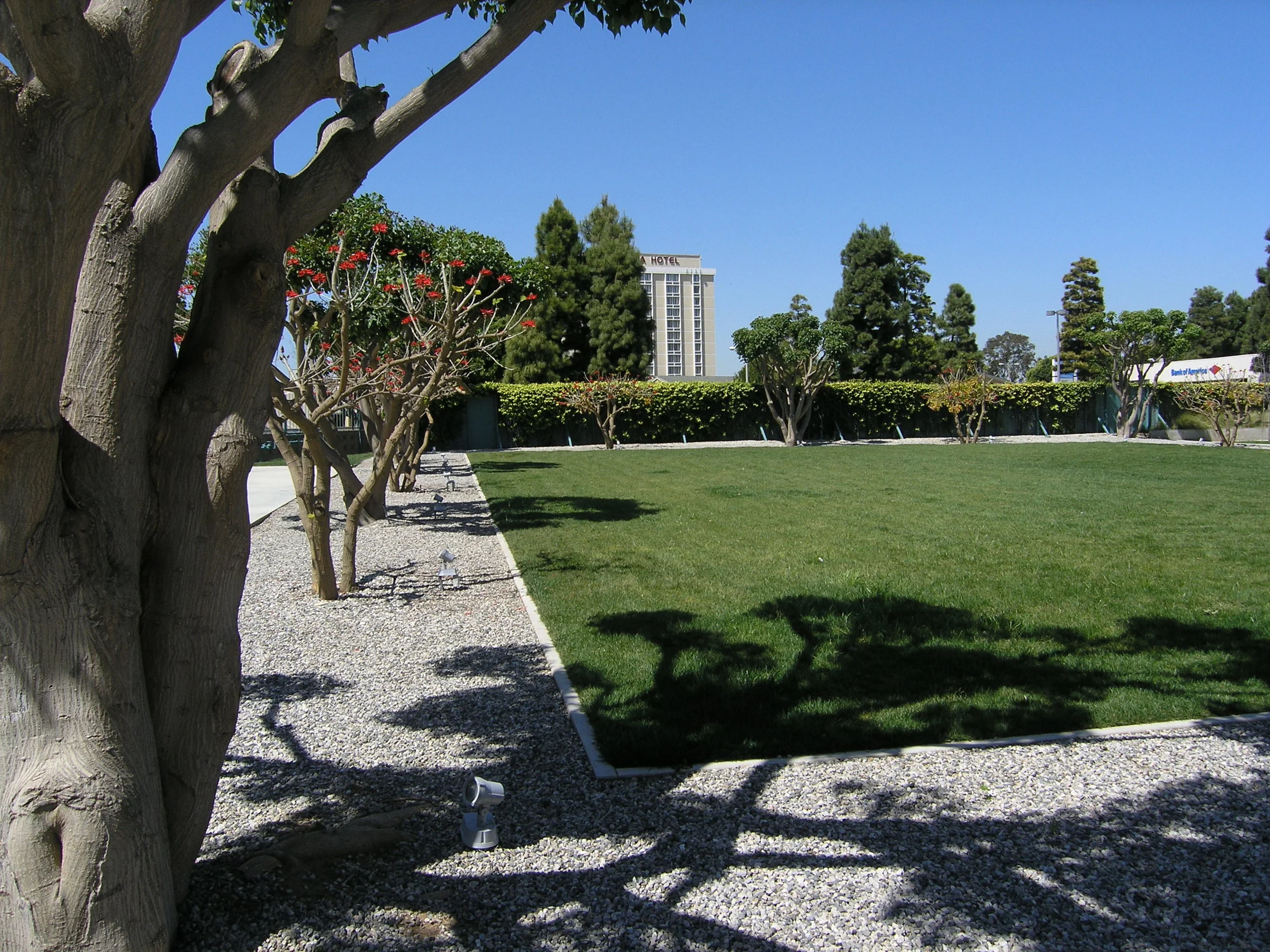 丨美国洛杉矶-19