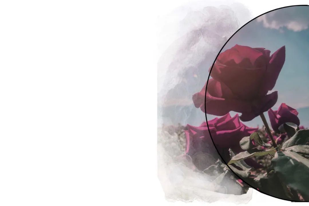 长沙直立灌木办公空间 | 玫瑰之韵的现代演绎-19