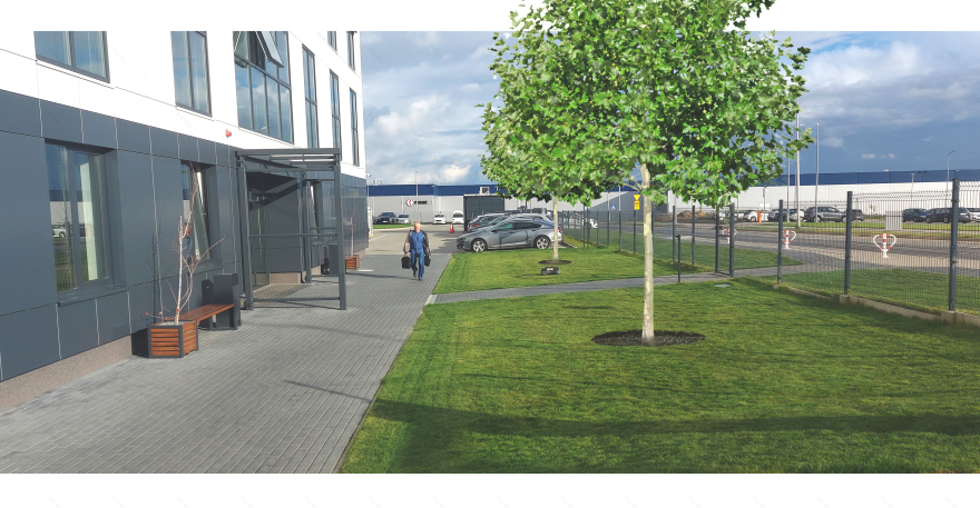 树木种植可视化展示丨mgr inż. arch. kraj. Olga Bobowska-3