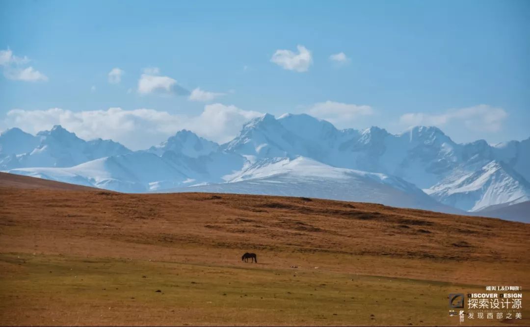 设计大咖探索新疆原生态之美,启发现代设计灵感-29