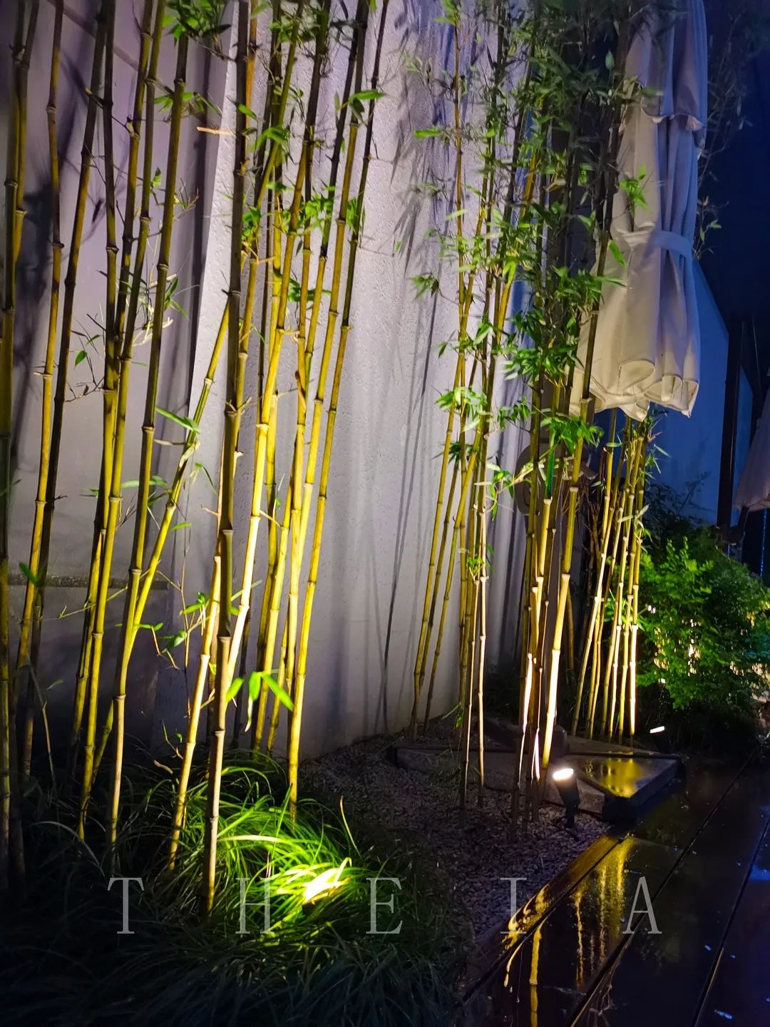 迪赛·东篱 | 闲田信步,采菊东篱-84