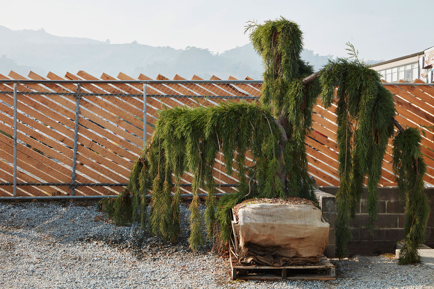 漂浮的禅意空间·加州滨水区二战船厂改造-14