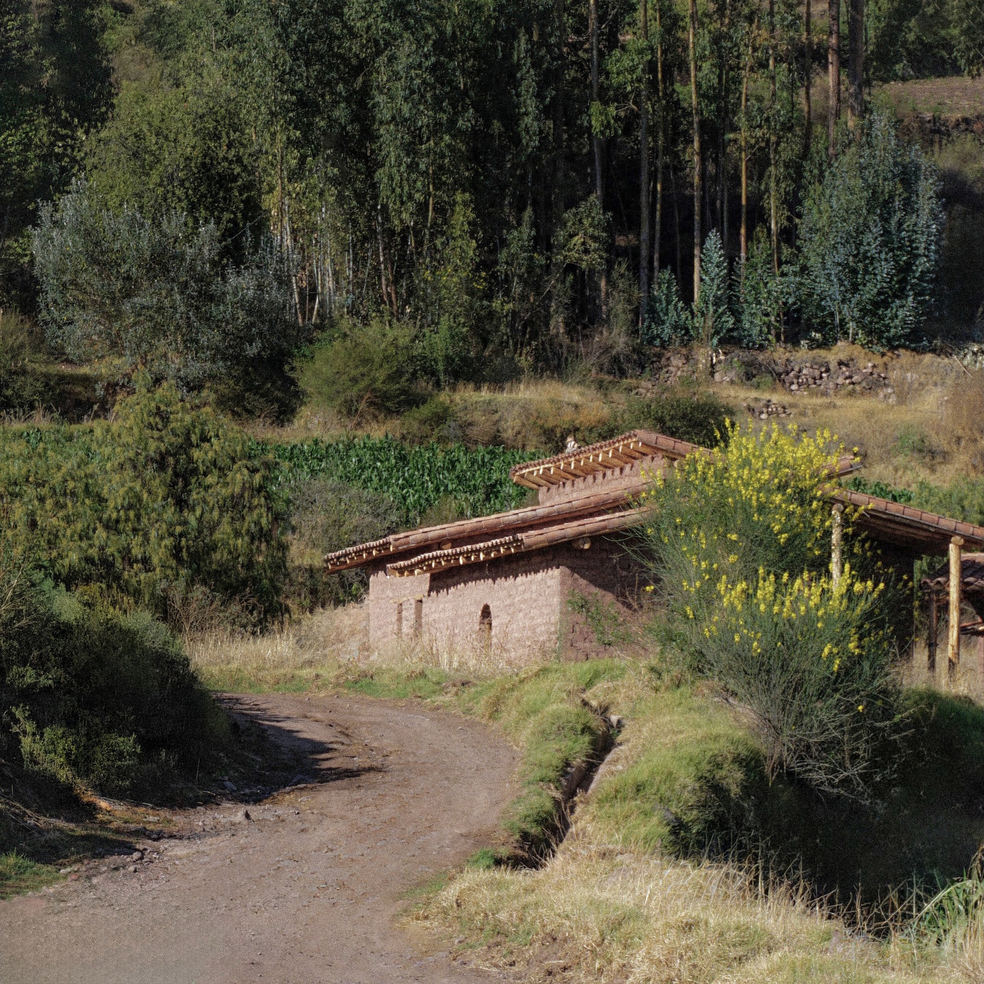 丨秘鲁丨Taller MACAA-10