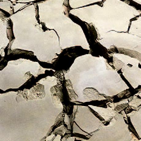 阿布扎比 Al Fayah 公园-4