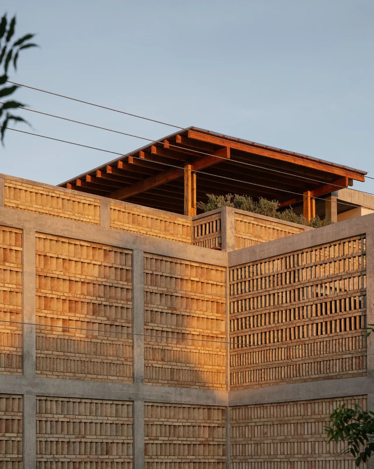 乌玛诺酒店丨墨西哥丨PLANTEA-7