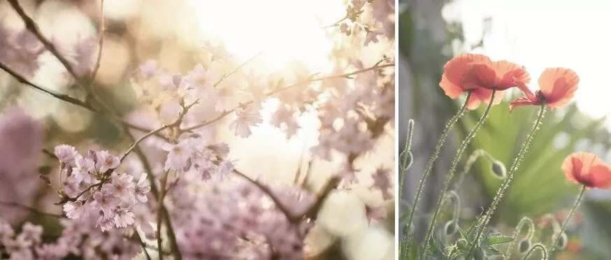 奥园·誉湖湾-29