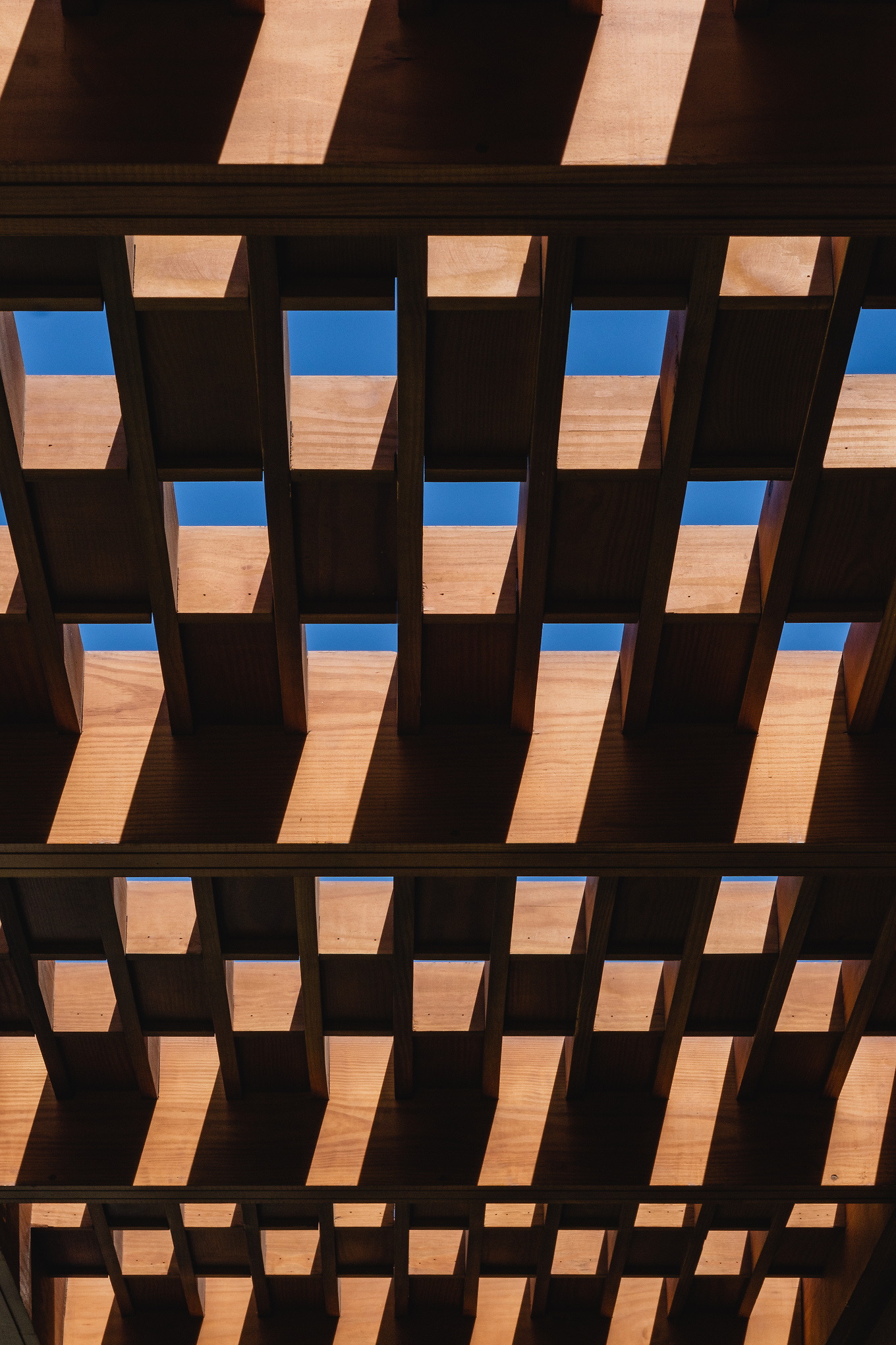 沙滩别墅 | Alchemy Design Studio | 2021 | 埃及-19