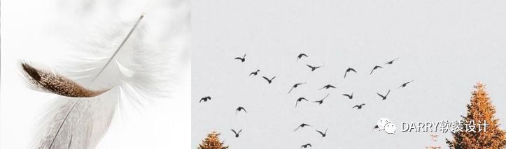 |DARRY·戴瑞软装| 丛林浅唱 · 时光漫漫-20