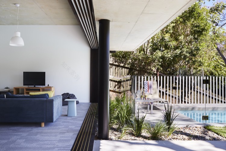 布里斯班山间“树顶之家”-54