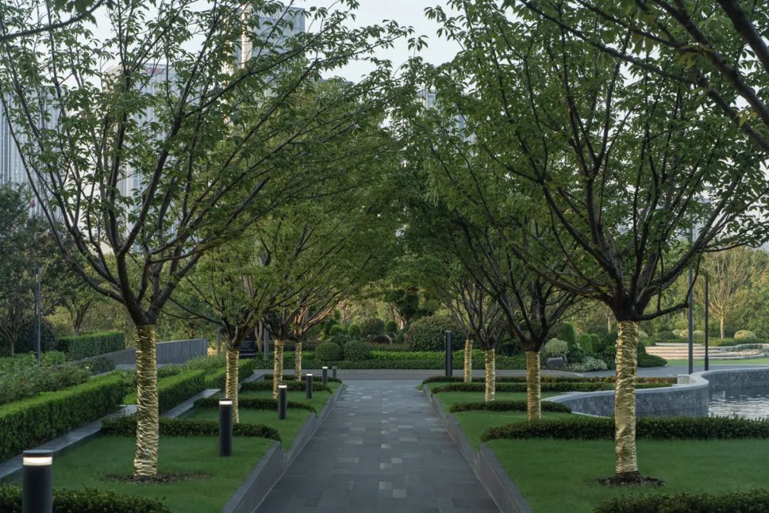 宁海雅境，初见桃源 | 宁海喜来登酒店-31