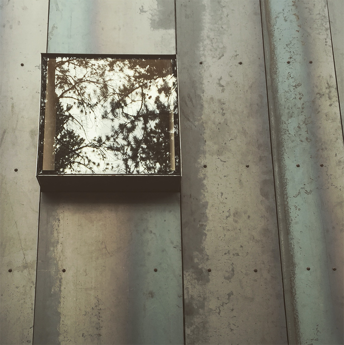 Colorado Outward Bound School Seasonal Micro Cabins | Colorado Building Workshop / University of Colorado Denver-20