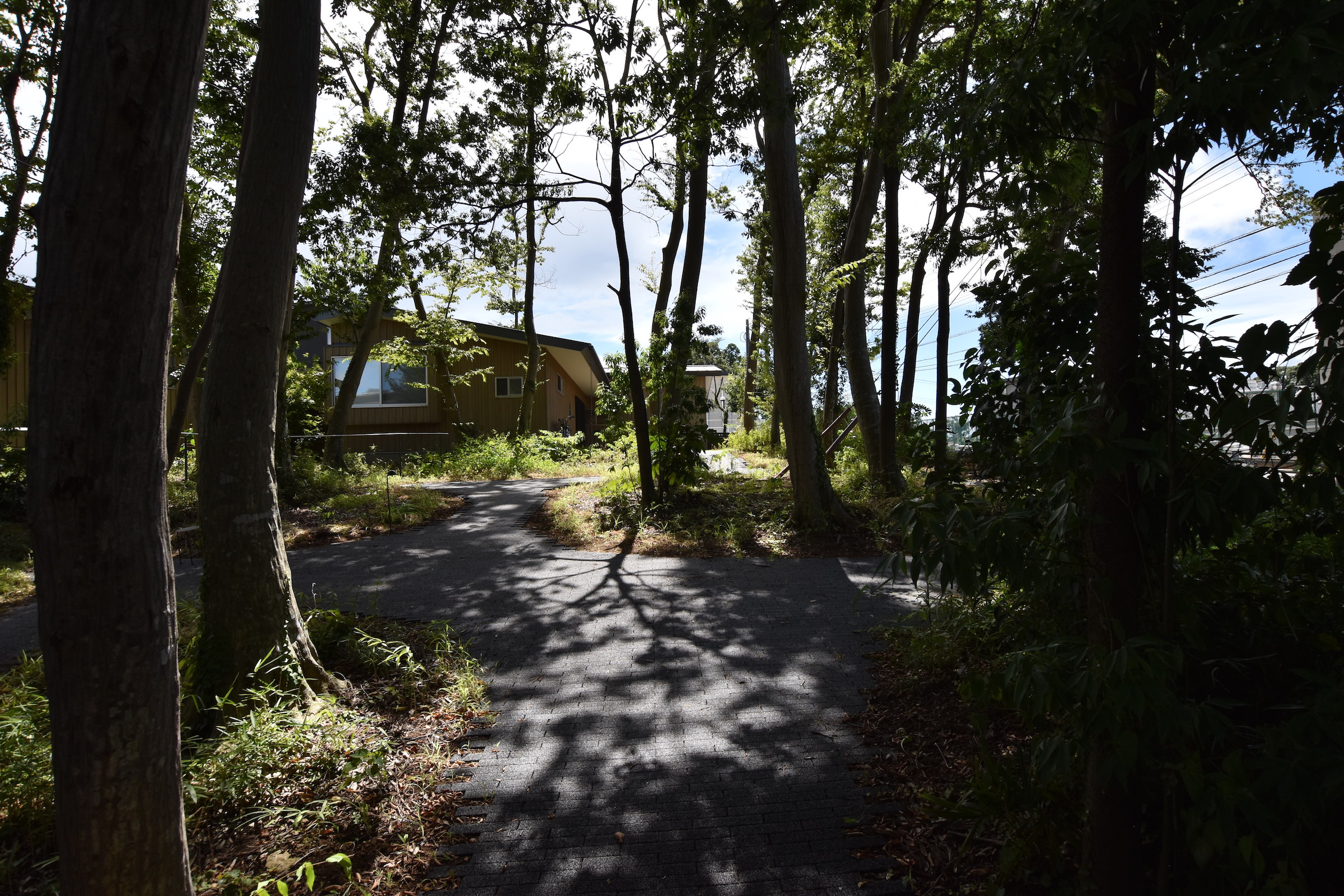 绽放的风 (Bloom no kaze)-14