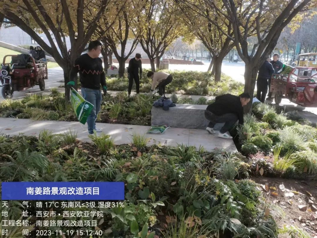 西安欧亚学院南姜路景观改造丨中国西安丨张唐景观-78