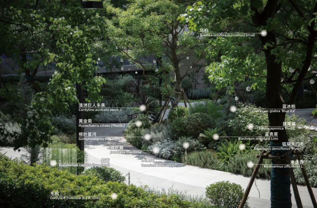 重新组合自然美 · 植物设计浅谈丨中国南京-61