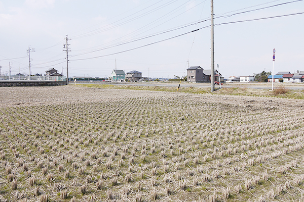 AMA Katsutoshi Sasaki Associates-20