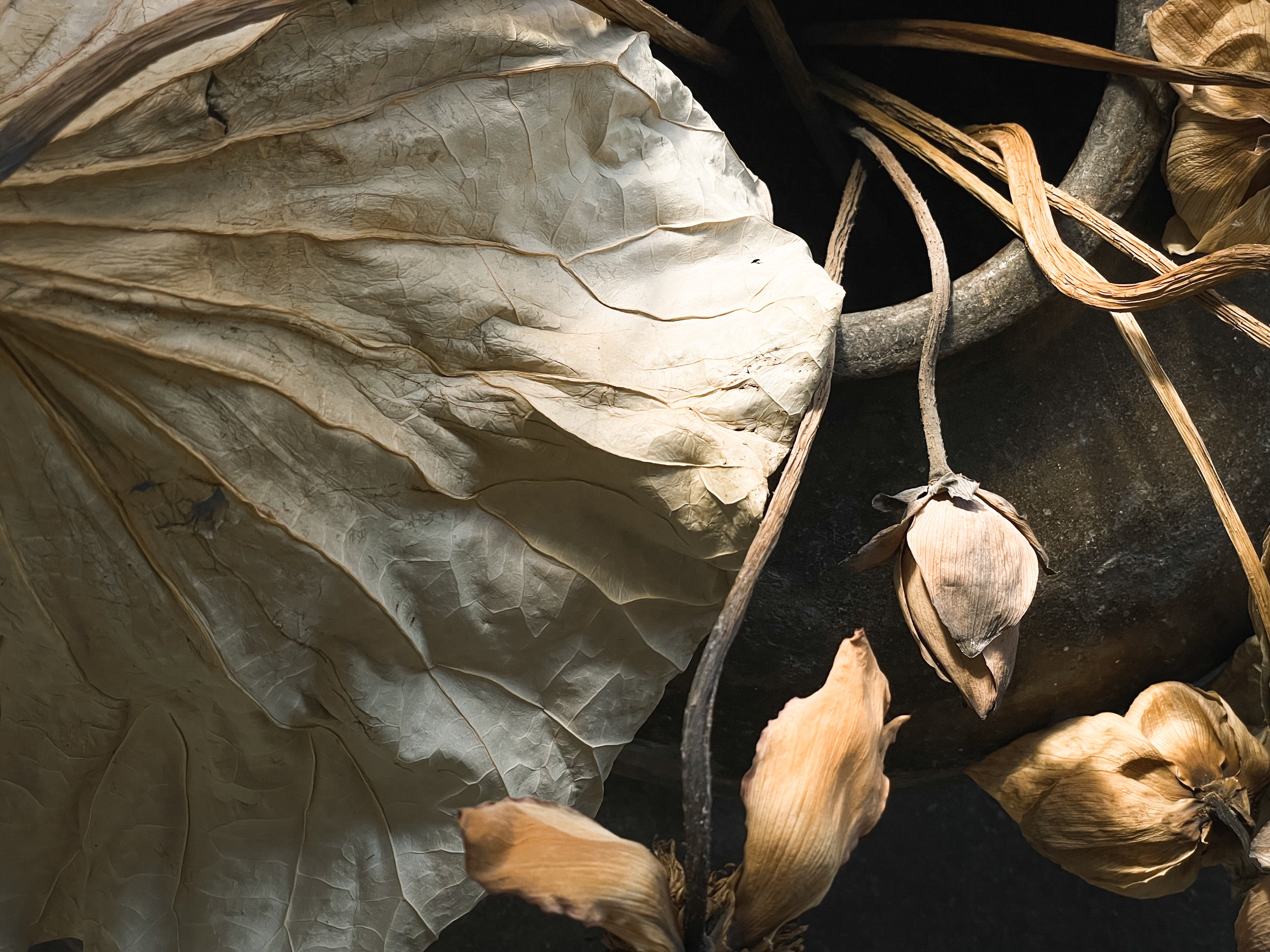 有时茶想丨中国广州丨广州市美林文化传播有限公司-21