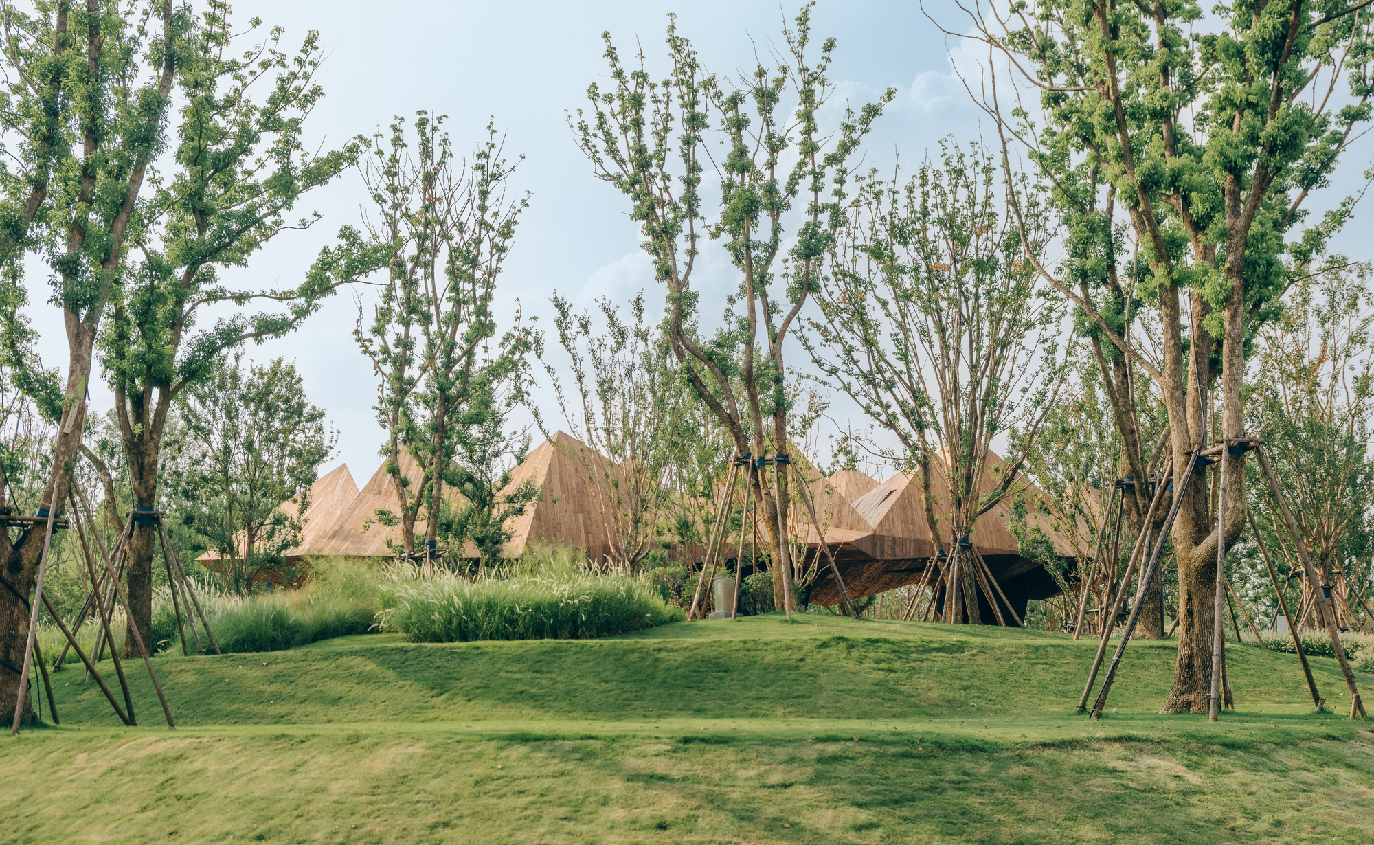 丨中国武汉丨DL Atelier-20