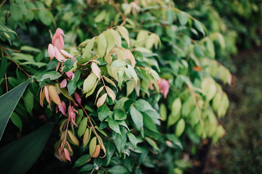 赫斯基森项目  GNK景观设计公司（这里GNK为特定名称，若无更多背景难以更精准翻译，推测一般为专业领域的公司名称，Landscapes可理解为景观设计公司等相关含义） -11