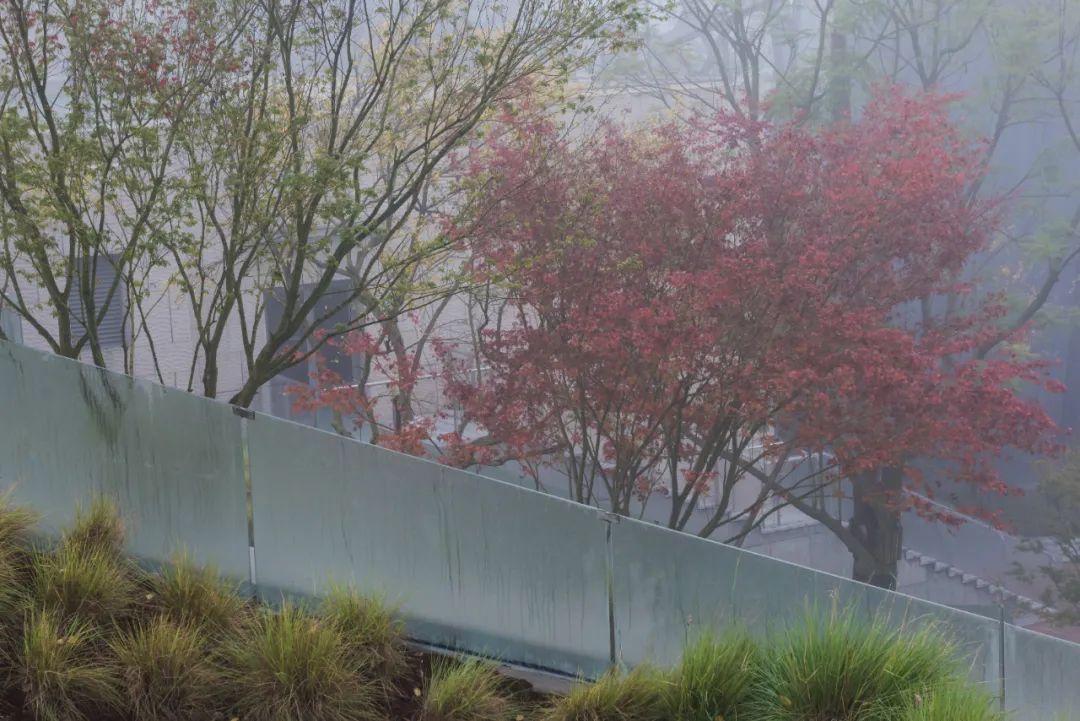 麓阶(Lu·el Lake)-122