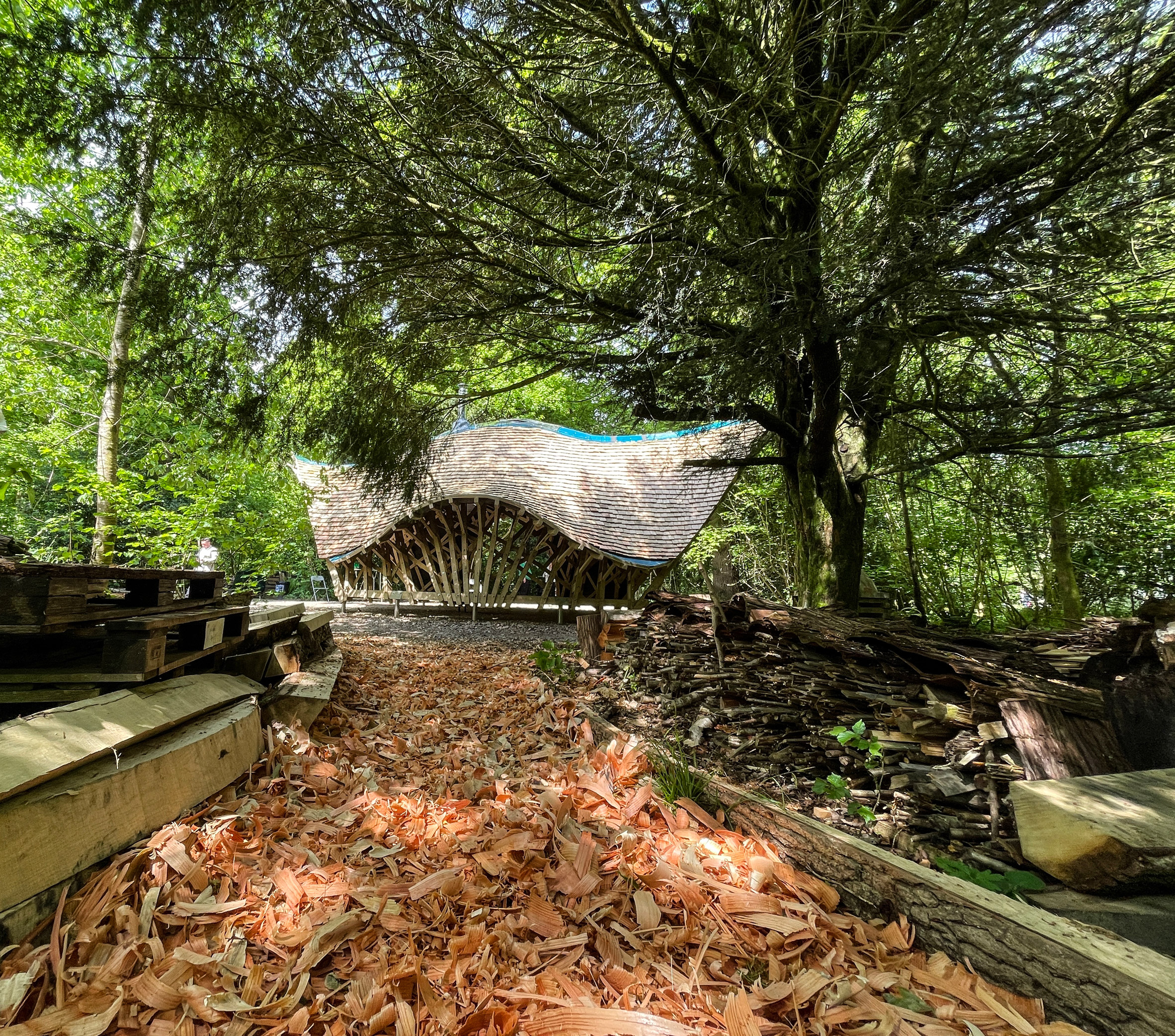 英国 Westonbirt arboretum 社区共建木质庇护所-21