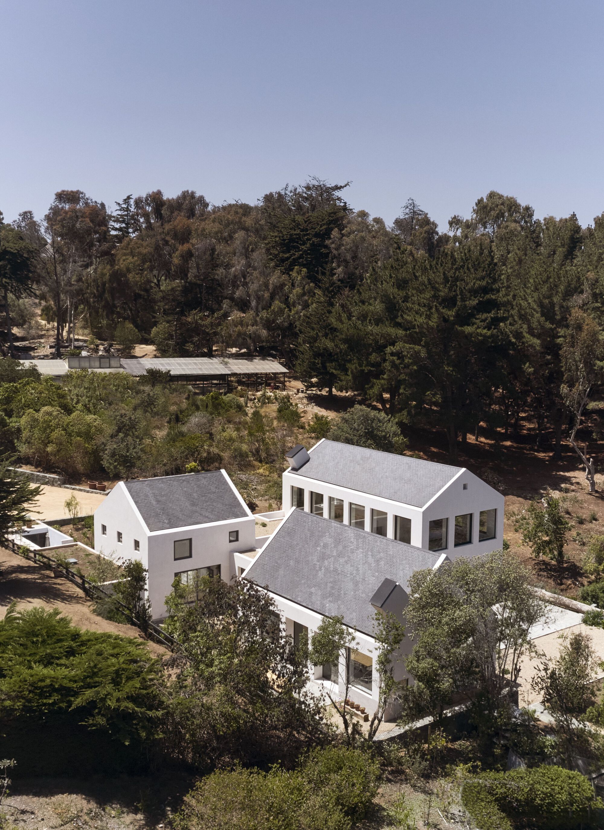 埃尔潘圭之家丨智利丨Felipe Combeau,Andrea Murtagh-18