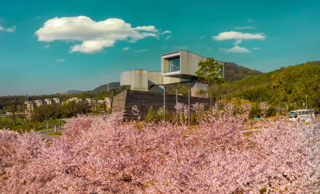 四方音乐岛开放预约！大江北岸新地标，限时免票登岛-45