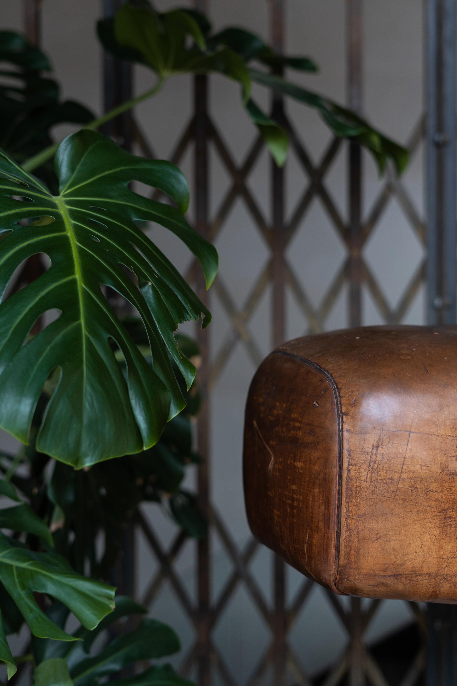 13 号公寓丨乌克兰基辅丨Maksym Dietkovskyi-24