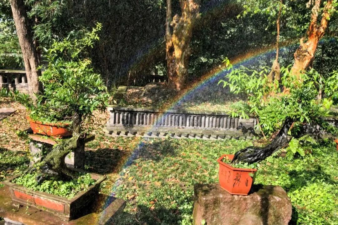 废弃庄园变鹭鸟天堂 | 400㎡中式宅院与 30 亩森林的共生设计-82