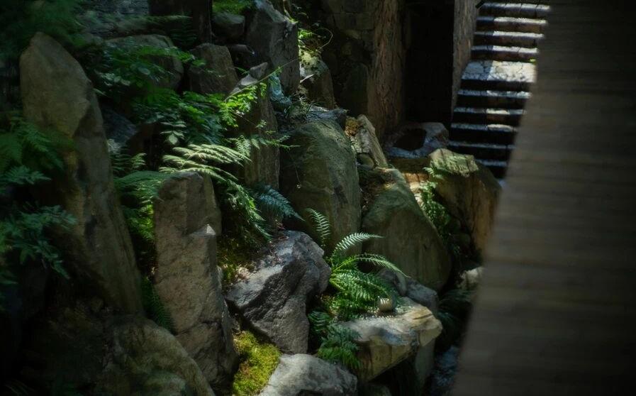 莫干山可遇outland民宿丨中国浙江-12