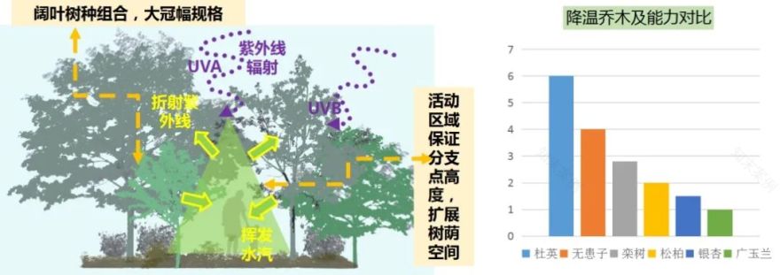 龙湖景观 | 生态美学法则与全龄健康生活的完美融合-97