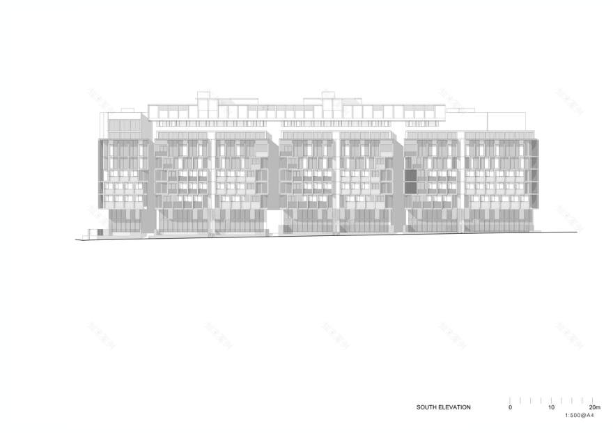 Botany Road 住宅区丨澳大利亚丨Candalepas Associates-48