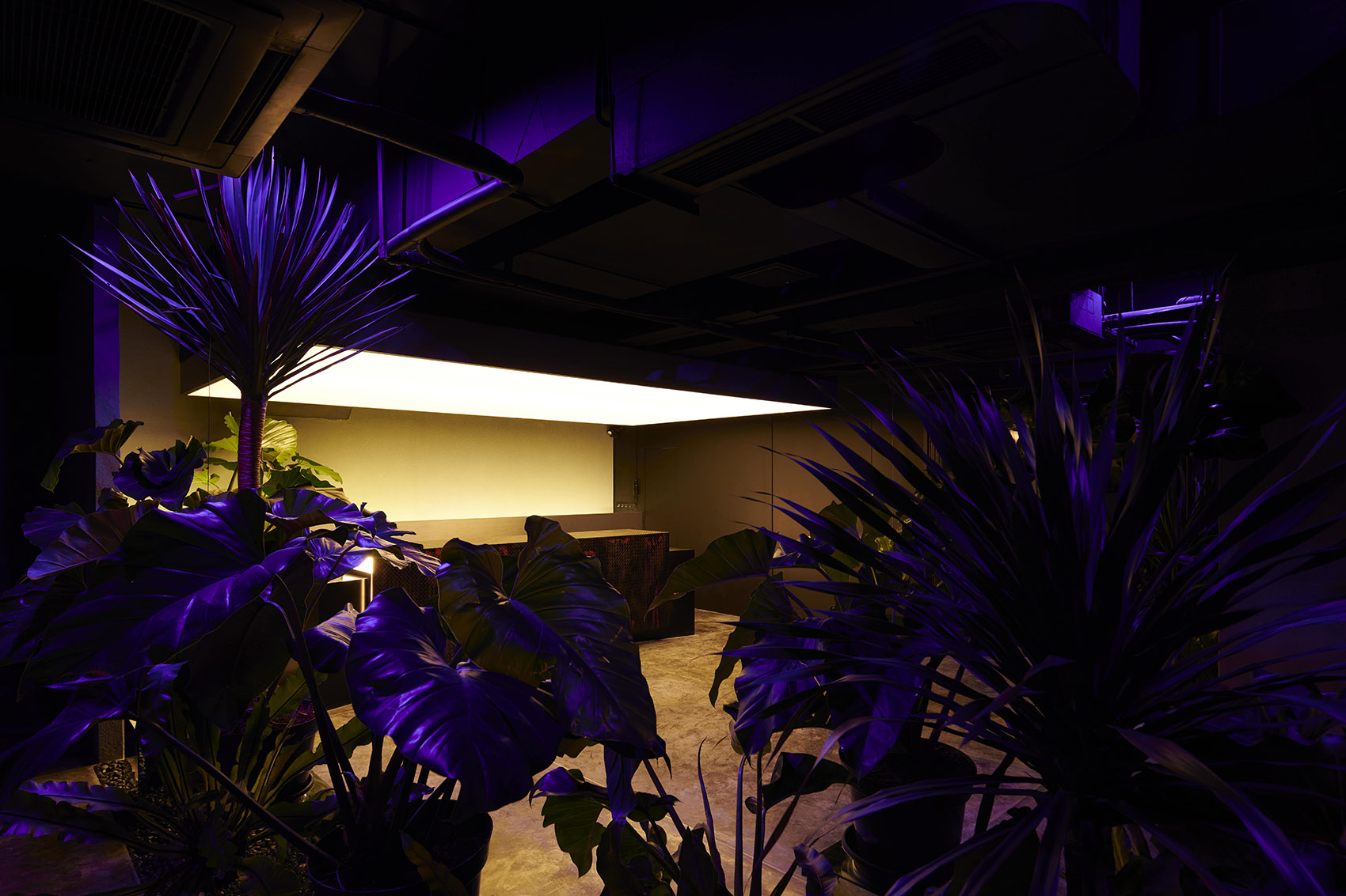 HIDDEN 地下酒吧丨RAD+ar-50