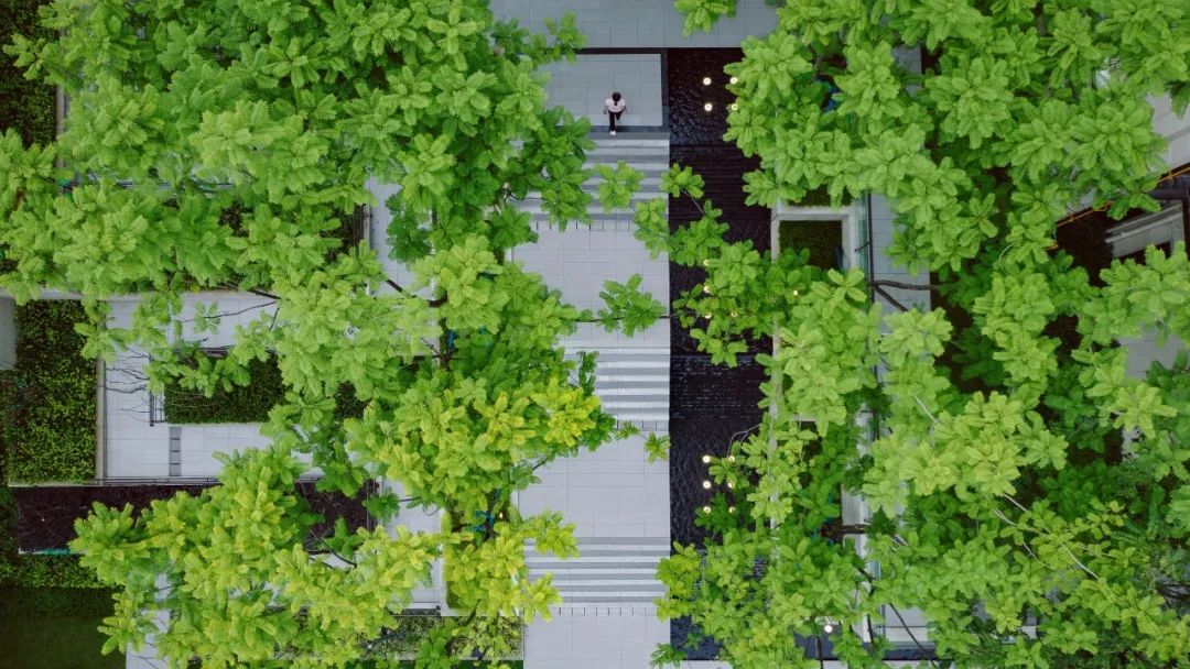 金科·御临河星光大区 | 山水画卷中的璀璨星辰-0