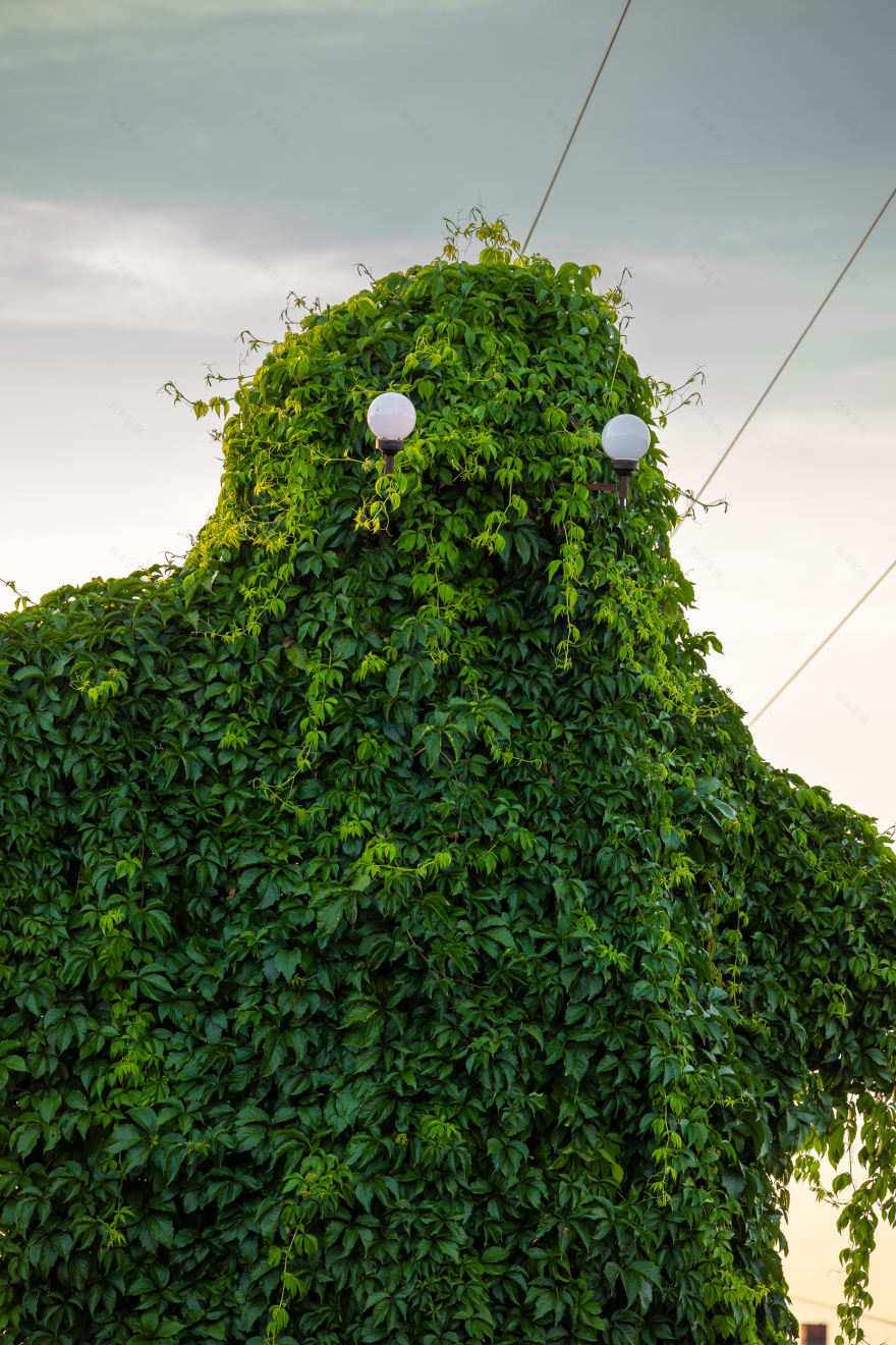 波兰奥波莱省“神秘生物”电线杆景点丨波兰波莱-5