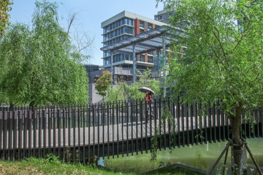 上海科技大学-74