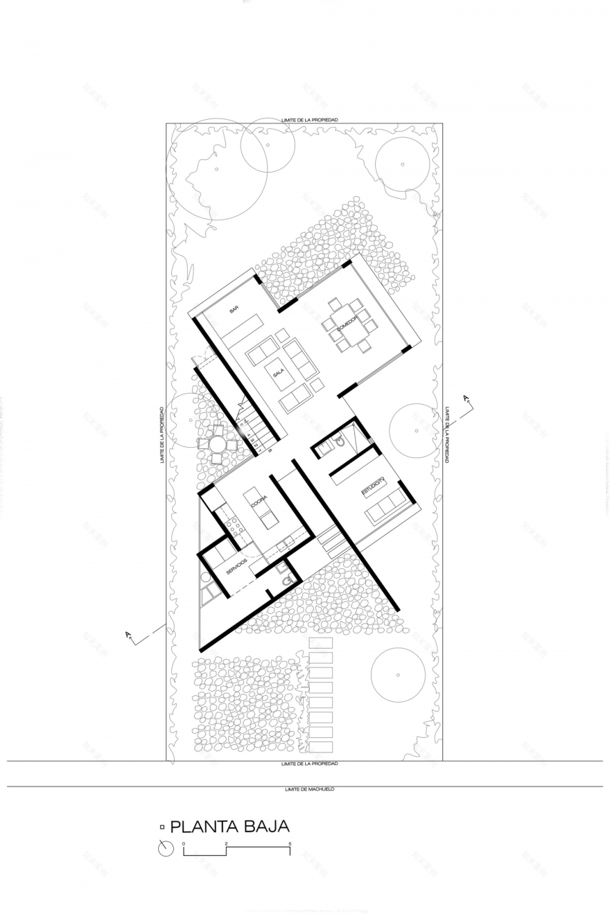 墨西哥 Eucaliptos 别墅丨MO+G taller de arquitectura-34