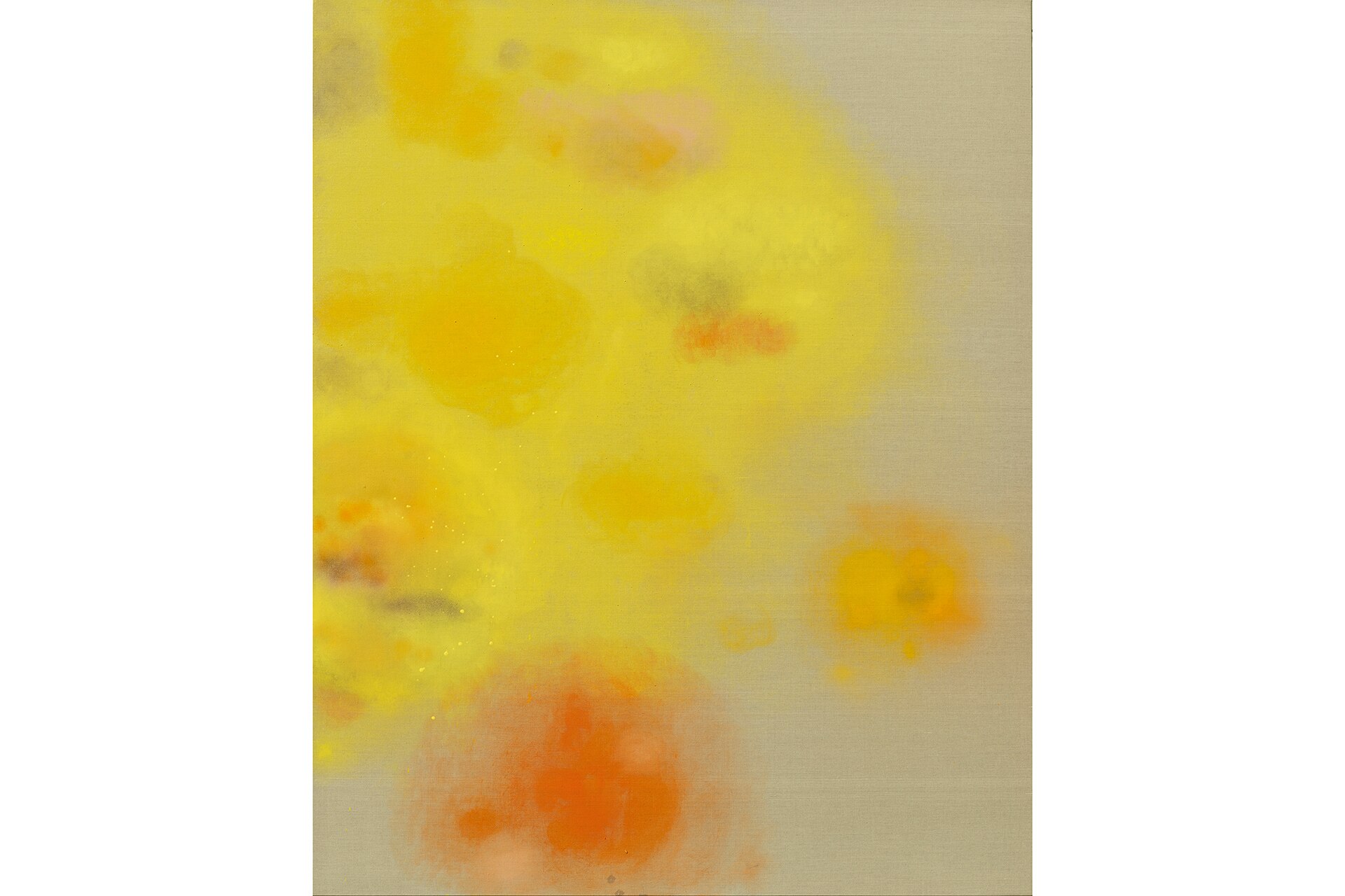 澳洲艺术家 Louise Olsen 的艺术生活-5